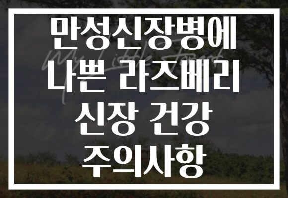 만성신장병에 나쁜 라즈베리 신장 건강 주의사항