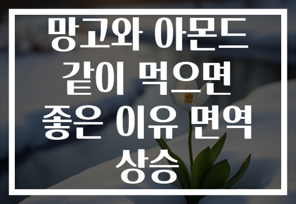 망고와 아몬드 같이 먹으면 좋은 이유 면역 상승