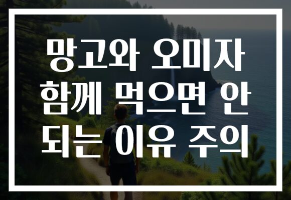 망고와 오미자 함께 먹으면 안 되는 이유 주의
