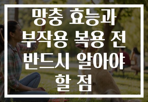 망충 효능과 부작용 복용 전 반드시 알아야 할 점