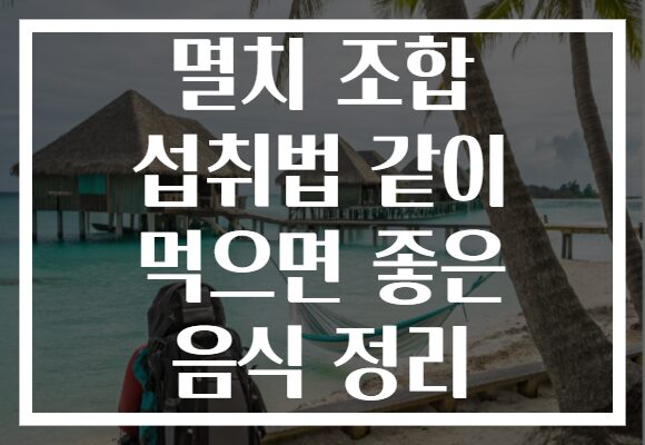 멸치 조합 섭취법 같이 먹으면 좋은 음식 정리
