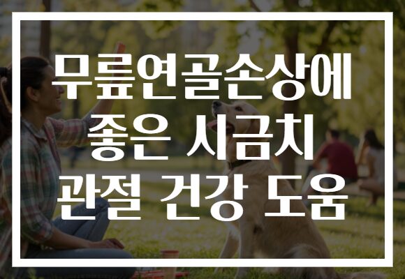 무릎연골손상에 좋은 시금치 관절 건강 도움