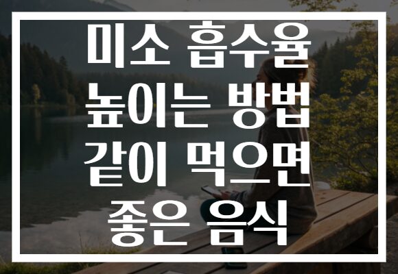 미소 흡수율 높이는 방법 같이 먹으면 좋은 음식