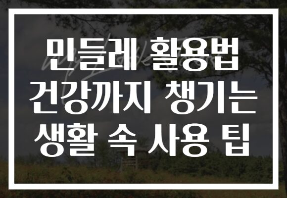 민들레 활용법 건강까지 챙기는 생활 속 사용 팁