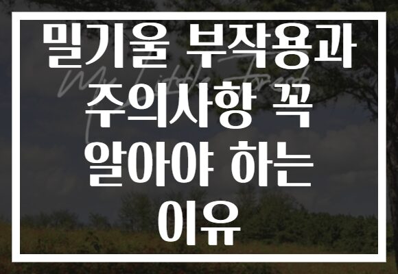 밀기울 부작용과 주의사항 꼭 알아야 하는 이유