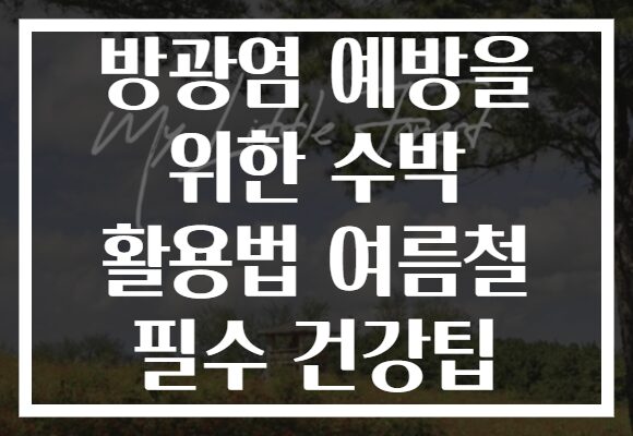 방광염 예방을 위한 수박 활용법 여름철 필수 건강팁