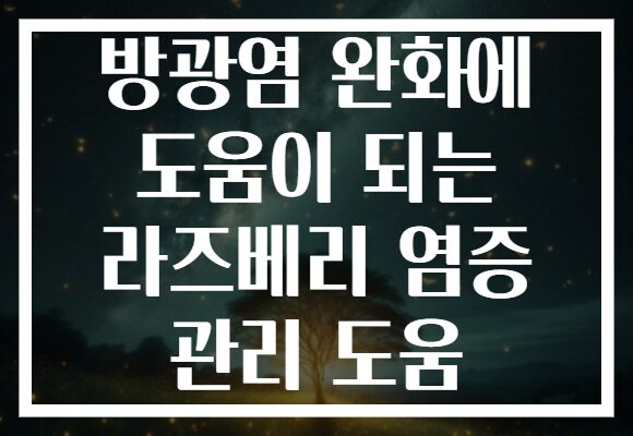 방광염 완화에 도움이 되는 라즈베리 염증 관리 도움