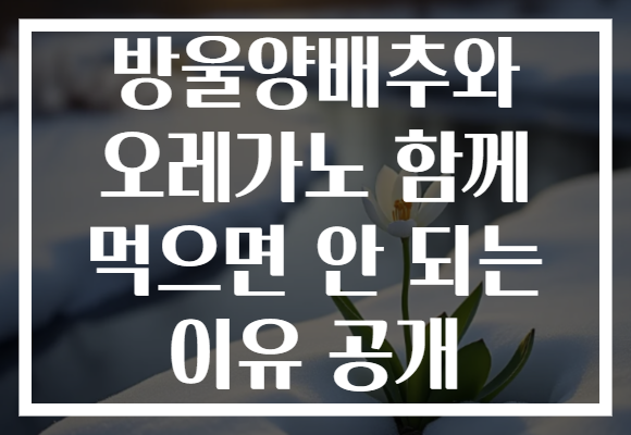 방울양배추와 오레가노 함께 먹으면 안 되는 이유 공개