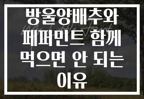 방울양배추와 페퍼민트 함께 먹으면 안 되는 이유