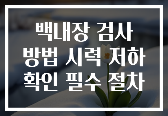 백내장 검사 방법 시력 저하 확인 필수 절차