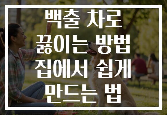 백출 차로 끓이는 방법 집에서 쉽게 만드는 법