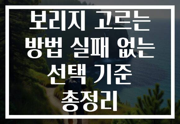 보리지 고르는 방법 실패 없는 선택 기준 총정리