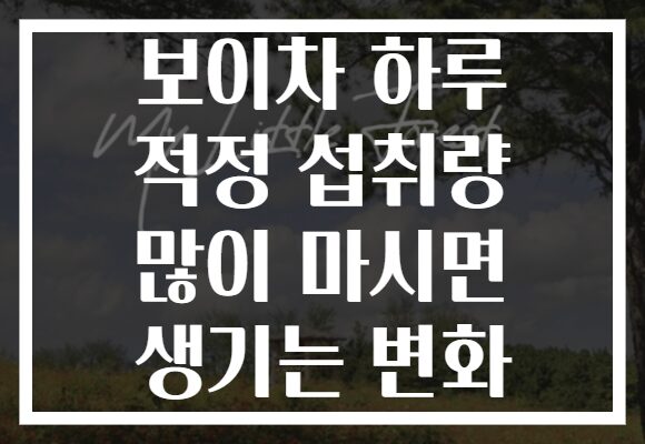 보이차 하루 적정 섭취량 많이 마시면 생기는 변화