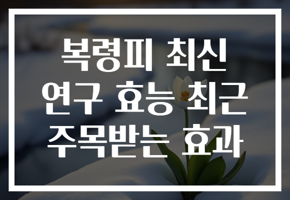복령피 최신 연구 효능 최근 주목받는 효과