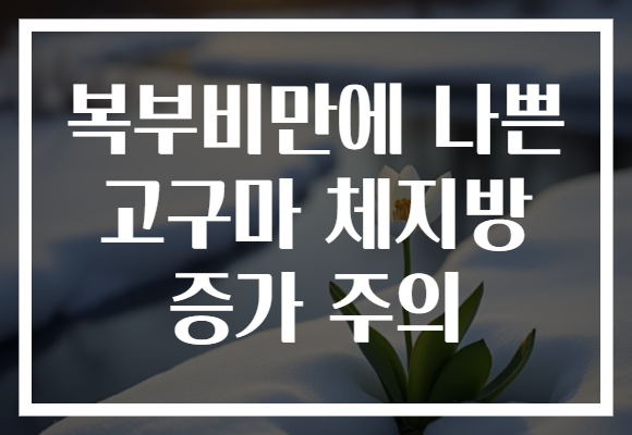 복부비만에 나쁜 고구마 체지방 증가 주의