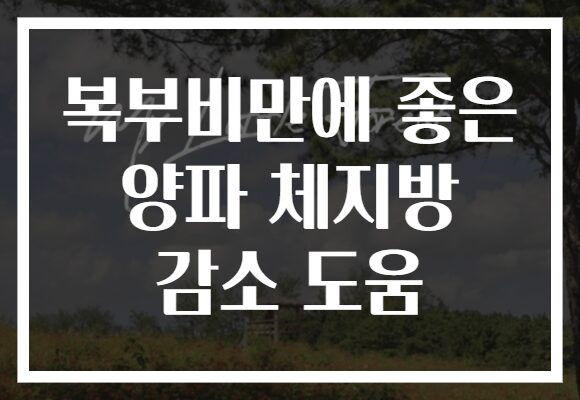 복부비만에 좋은 양파 체지방 감소 도움