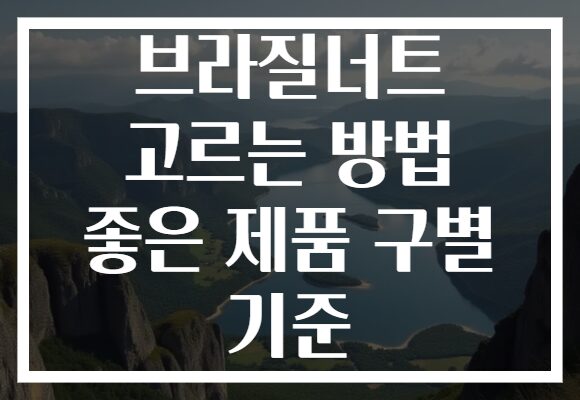 브라질너트 고르는 방법 좋은 제품 구별 기준