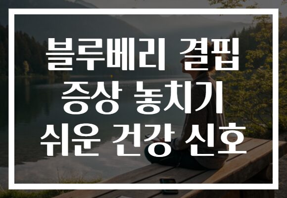 블루베리 결핍 증상 놓치기 쉬운 건강 신호