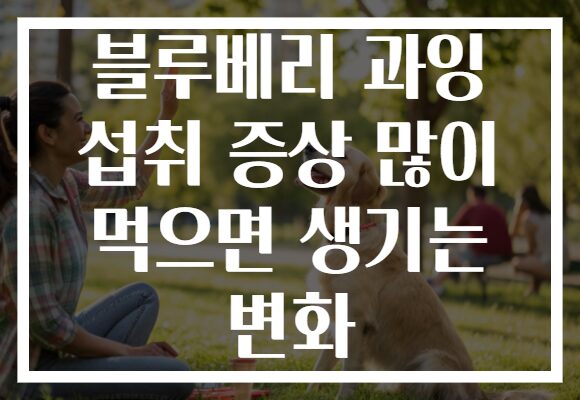 블루베리 과잉 섭취 증상 많이 먹으면 생기는 변화