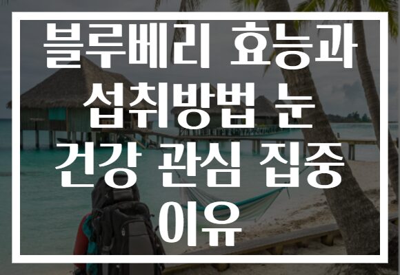 블루베리 효능과 섭취방법 눈 건강 관심 집중 이유
