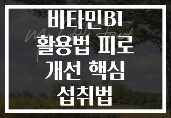 비타민B1 활용법 피로 개선 핵심 섭취법