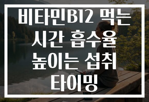 비타민B12 먹는 시간 흡수율 높이는 섭취 타이밍