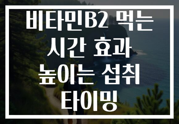 비타민B2 먹는 시간 효과 높이는 섭취 타이밍