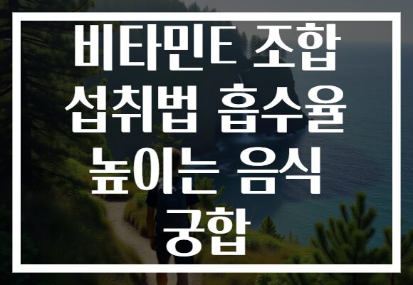 비타민E 조합 섭취법 흡수율 높이는 음식 궁합