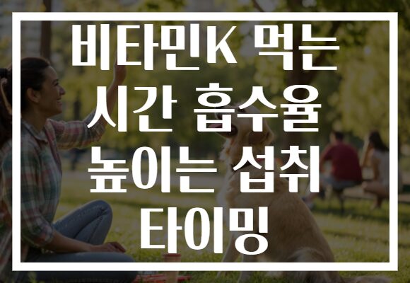 비타민K 먹는 시간 흡수율 높이는 섭취 타이밍