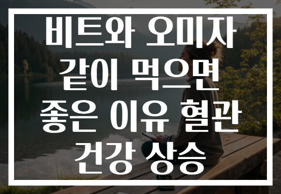 비트와 오미자 같이 먹으면 좋은 이유 혈관 건강 상승