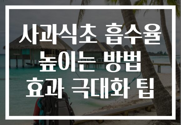 사과식초 흡수율 높이는 방법 효과 극대화 팁