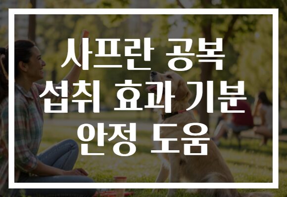 사프란 공복 섭취 효과 기분 안정 도움