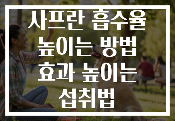 사프란 흡수율 높이는 방법 효과 높이는 섭취법