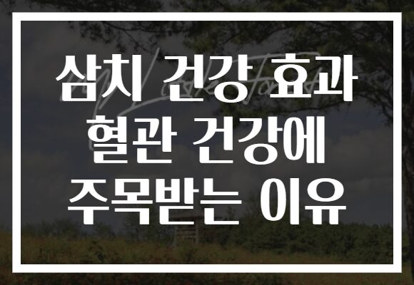 삼치 건강 효과 혈관 건강에 주목받는 이유