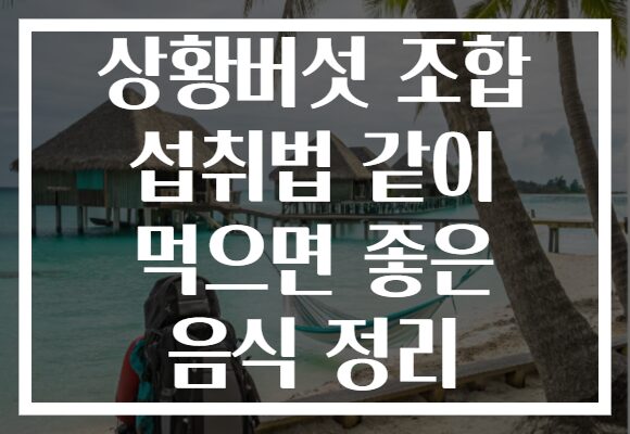 상황버섯 조합 섭취법 같이 먹으면 좋은 음식 정리