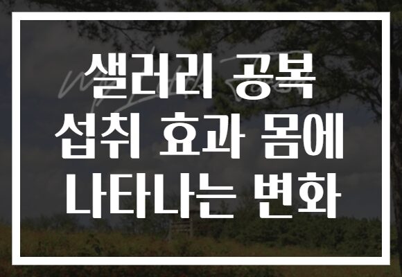 샐러리 공복 섭취 효과 몸에 나타나는 변화