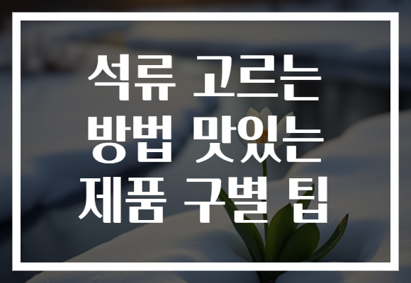 석류 고르는 방법 맛있는 제품 구별 팁