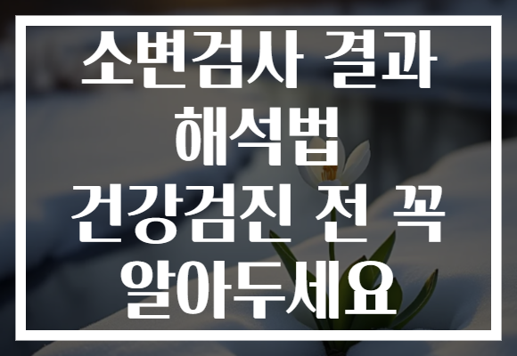 소변검사 결과 해석법 건강검진 전 꼭 알아두세요