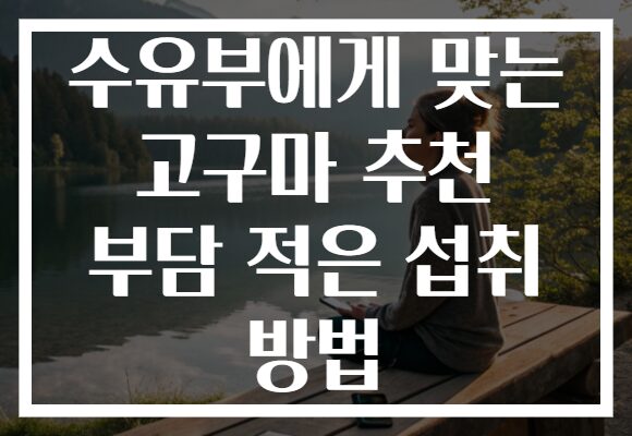 수유부에게 맞는 고구마 추천 부담 적은 섭취 방법