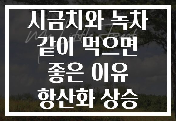 시금치와 녹차 같이 먹으면 좋은 이유 항산화 상승