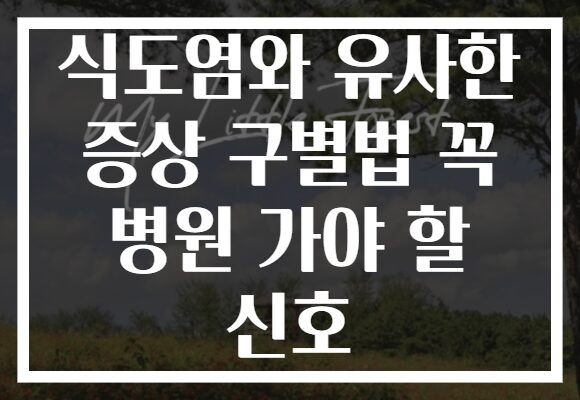 식도염와 유사한 증상 구별법 꼭 병원 가야 할 신호