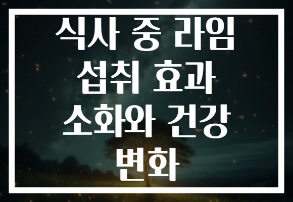 식사 중 라임 섭취 효과 소화와 건강 변화