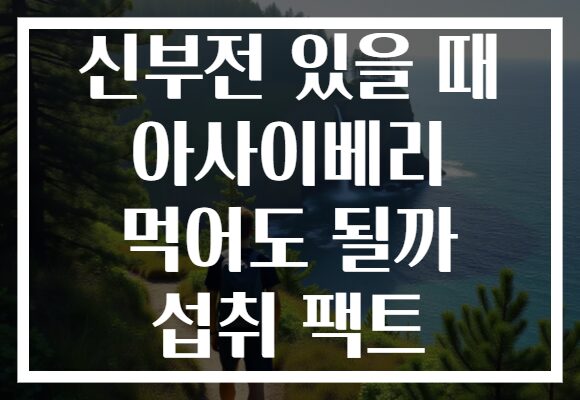 신부전 있을 때 아사이베리 먹어도 될까 섭취 팩트