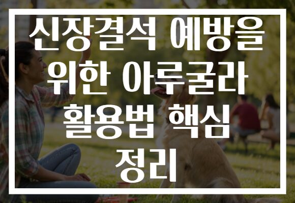 신장결석 예방을 위한 아루굴라 활용법 핵심 정리