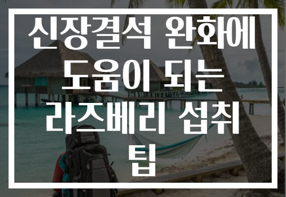 신장결석 완화에 도움이 되는 라즈베리 섭취 팁