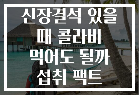 신장결석 있을 때 콜라비 먹어도 될까 섭취 팩트