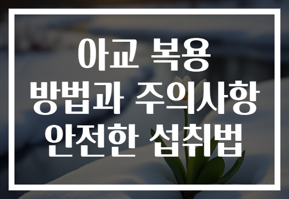 아교 복용 방법과 주의사항 안전한 섭취법