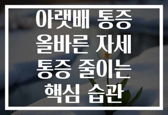 아랫배 통증 올바른 자세 통증 줄이는 핵심 습관