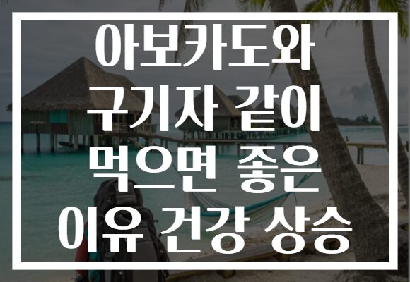 아보카도와 구기자 같이 먹으면 좋은 이유 건강 상승