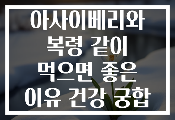 아사이베리와 복령 같이 먹으면 좋은 이유 건강 궁합